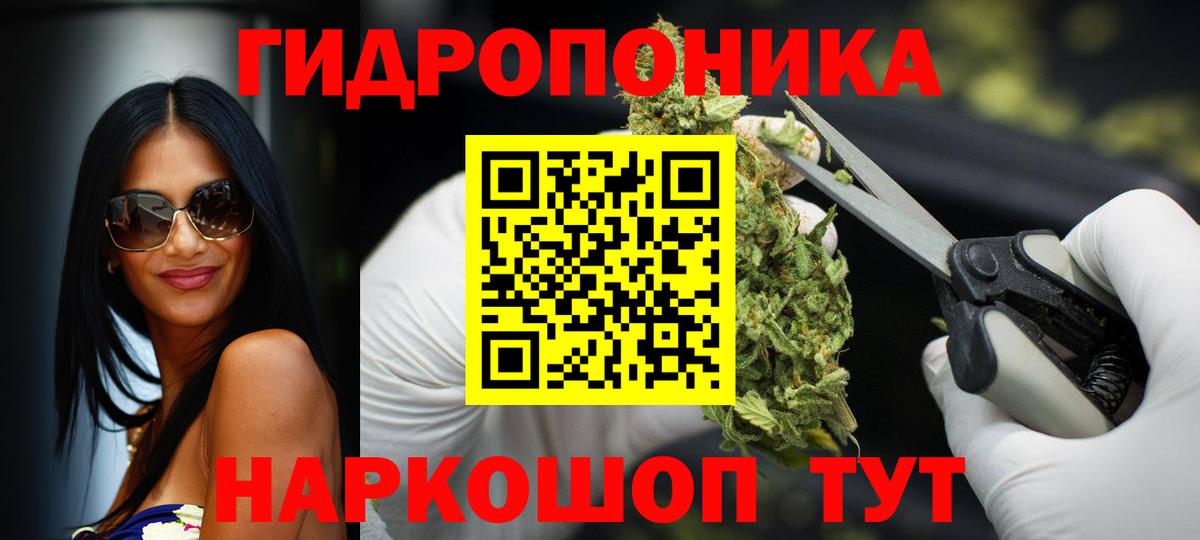 Гагарин  Бошки марихуана индика  Бошки Шишки планчик  Вход с VPN  Каннабис MAZAR 